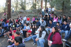 Educational Workshops